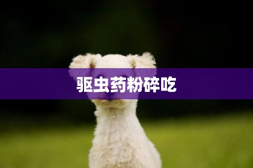 驅蟲藥粉碎吃