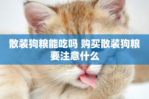 散裝狗糧能吃嗎 購買散裝狗糧要注意什么 散裝狗糧能吃嗎 購買散裝狗糧要注意什么