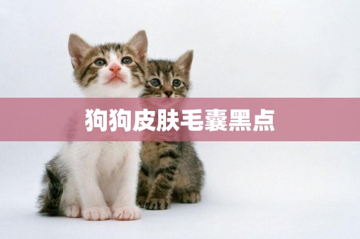 狗狗皮膚毛囊黑點