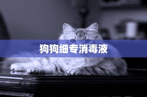 狗狗細專消毒液