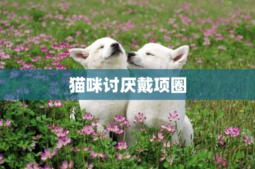 貓咪討厭戴項圈