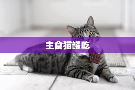 主食貓罐吃