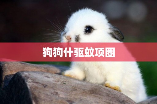 狗狗什驅蚊項圈