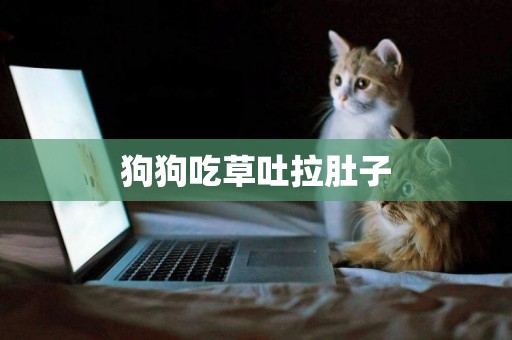 狗狗吃草吐拉肚子