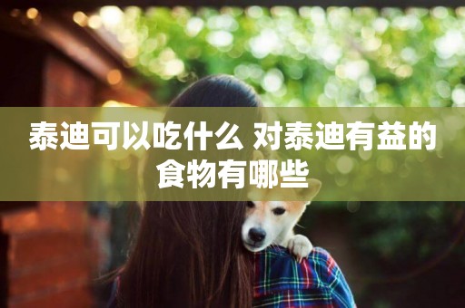 泰迪可以吃什么 對泰迪有益的食物有哪些
