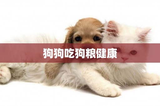 狗狗吃狗糧健康