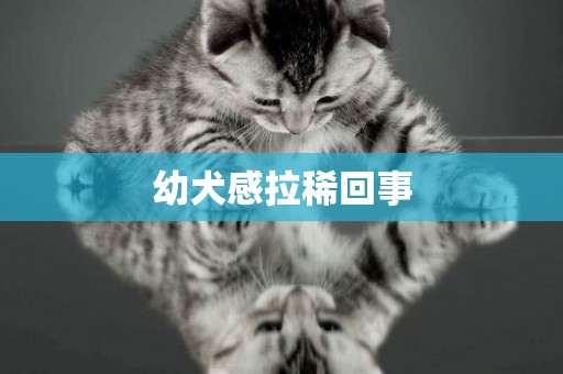 幼犬感拉稀回事
