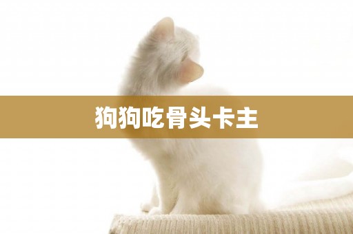 狗狗吃骨頭卡主