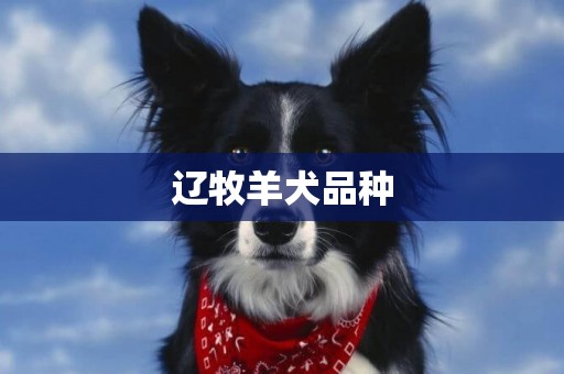 遼牧羊犬品種