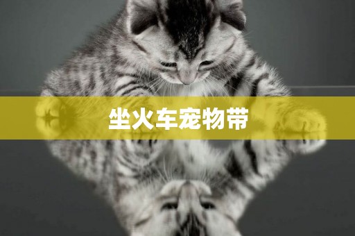 坐火車寵物帶