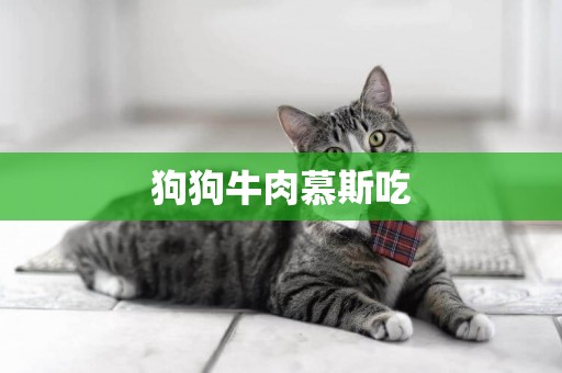 狗狗牛肉慕斯吃
