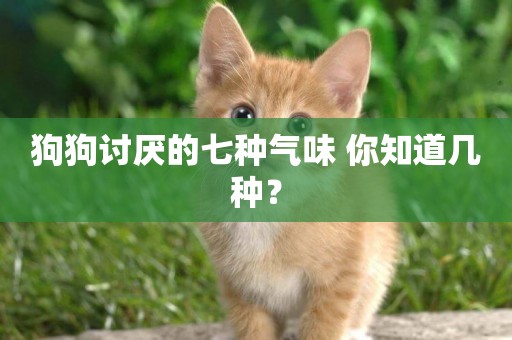 狗狗討厭的七種氣味 你知道幾種？