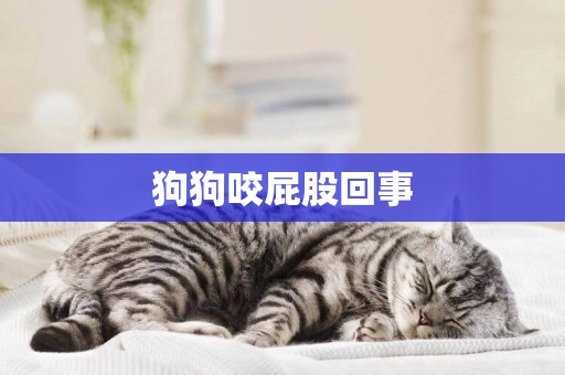 狗狗咬屁股回事