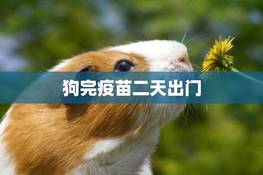 狗完疫苗二天出門