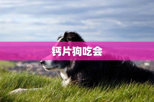 鈣片狗吃會