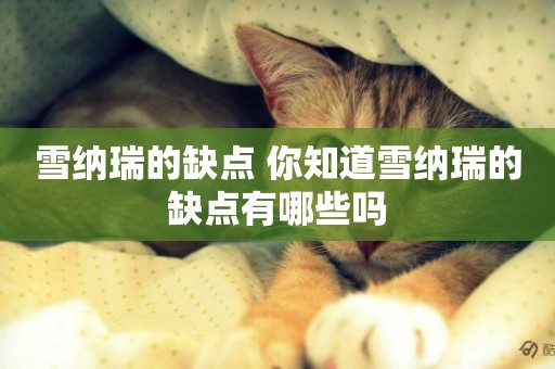 雪納瑞的缺點 你知道雪納瑞的缺點有哪些嗎