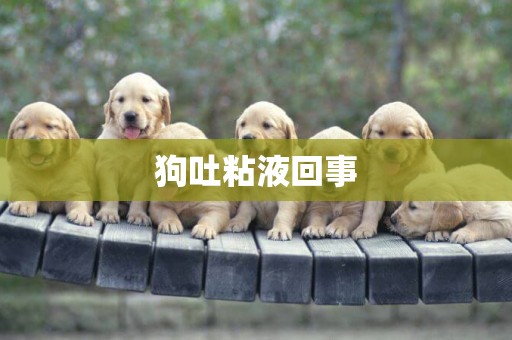 狗吐粘液回事