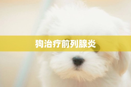 狗治療前列腺炎