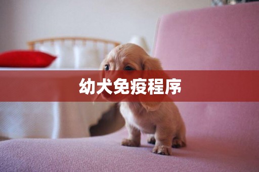 幼犬免疫程序