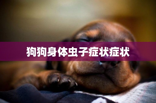 狗狗身體蟲子癥狀癥狀