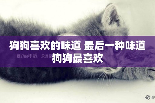 狗狗喜歡的味道 最后一種味道狗狗最喜歡 狗狗喜歡的味道 最后一種味道狗狗最喜歡