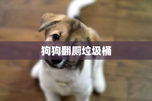 狗狗翻廁垃圾桶
