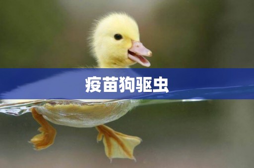 疫苗狗驅蟲