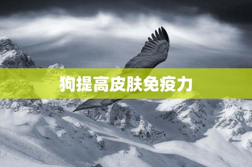 狗提高皮膚免疫力