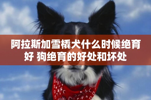 阿拉斯加雪橇犬什么時候絕育好 狗絕育的好處和壞處