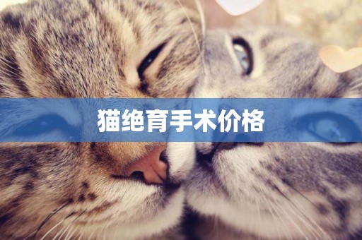 貓絕育手術價格
