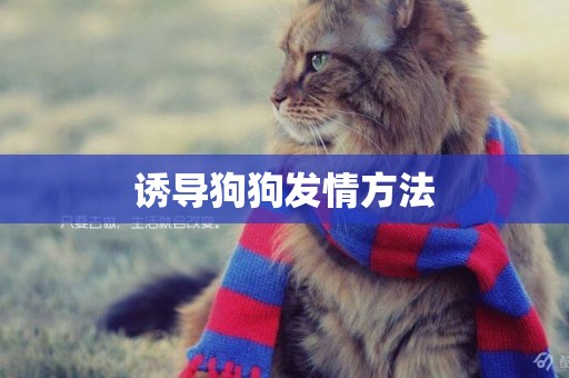 誘導狗狗發情方法