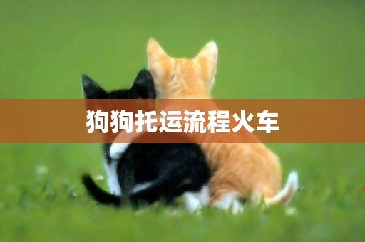 狗狗托運流程火車