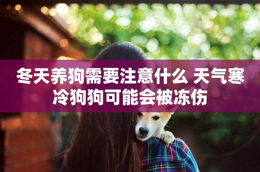冬天養狗需要注意什么 天氣寒冷狗狗可能會被凍傷