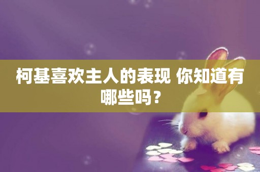 柯基喜歡主人的表現 你知道有哪些嗎？