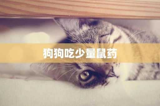 狗狗吃少量鼠藥