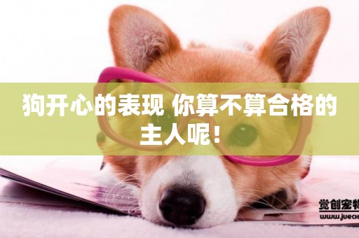 狗開心的表現 你算不算合格的主人呢！