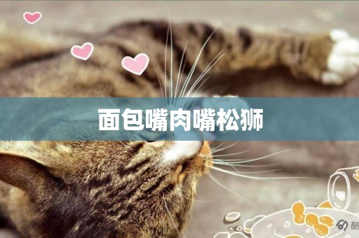 面包嘴肉嘴松獅