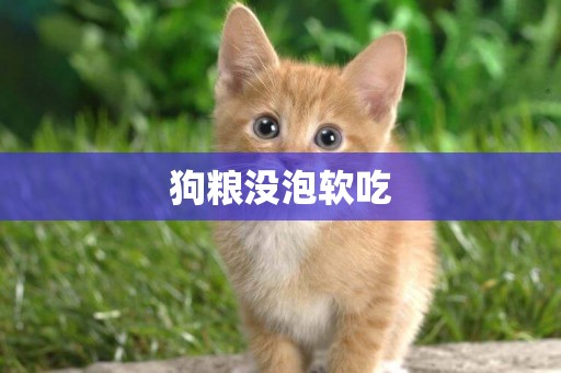 狗糧沒泡軟吃