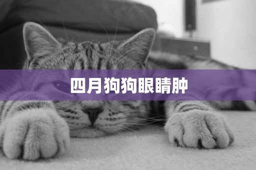 四月狗狗眼睛腫
