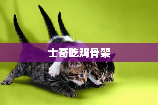 士奇吃雞骨架