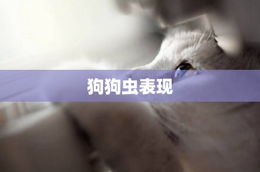 狗狗蟲表現