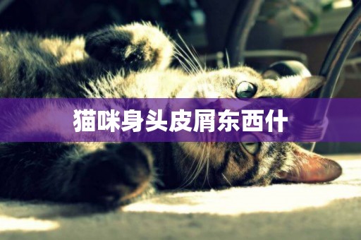 貓咪身頭皮屑東西什