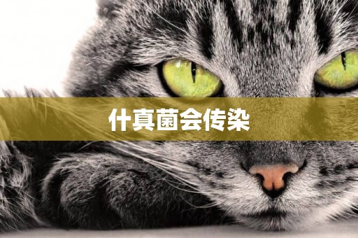 什真菌會傳染
