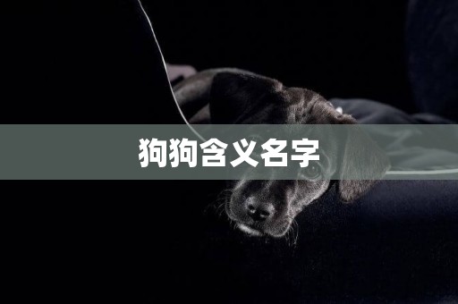 狗狗含義名字