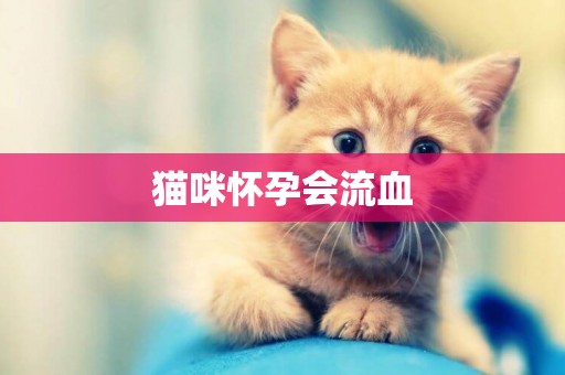 貓咪懷孕會流血