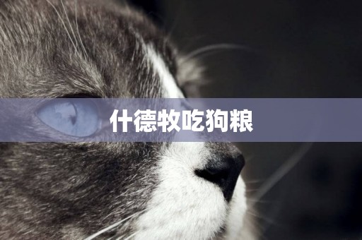 什德牧吃狗糧