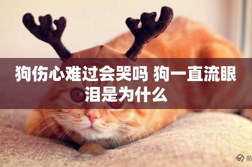 狗傷心難過會哭嗎 狗一直流眼淚是為什么