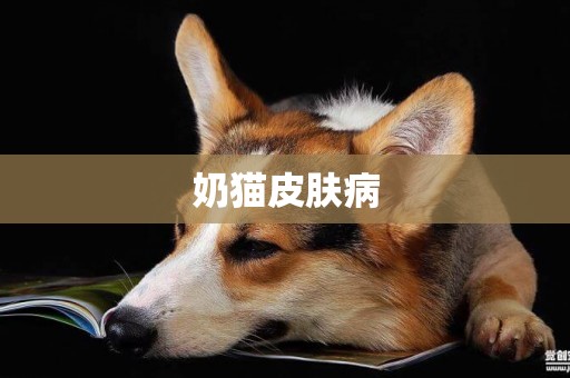 奶貓皮膚病