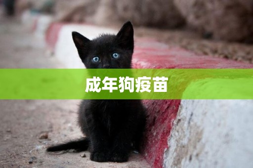 成年狗疫苗
