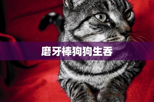 磨牙棒狗狗生吞